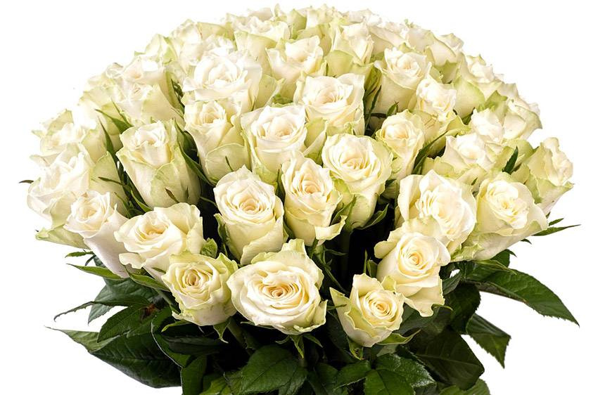 Поздравления НИУ «БелГУ» Коллектив НИУ «БелГУ» поздравляет с юбилеем Жанну Анатольевну Бубыреву