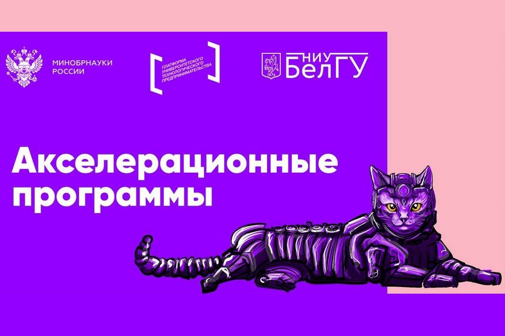 Участники акселераторов НИУ «БелГУ» представили проекты на питч-сессии